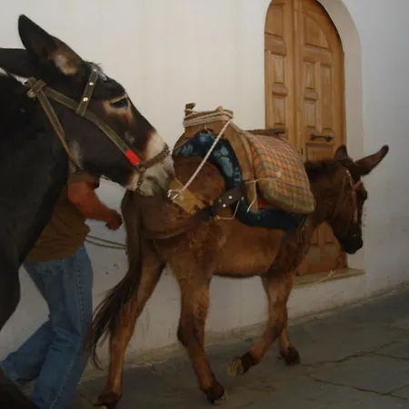Elena Apartment Lindos (Rhodes)
