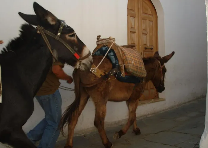 Elena Apartment Lindos (Rhodes)