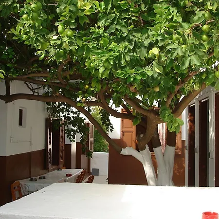 Elena Apartment Lindos (Rhodes)