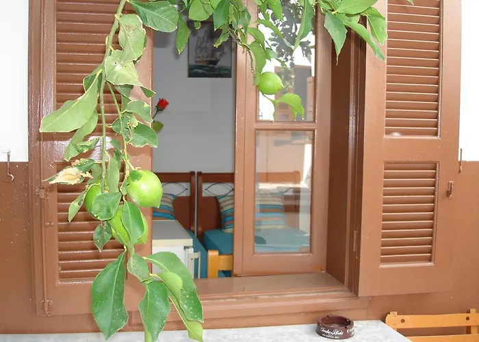 Elena * لينثوس